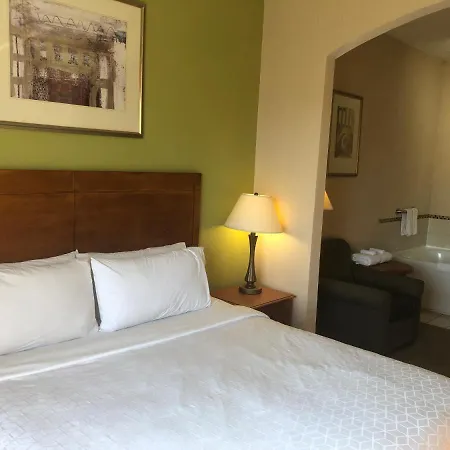 Holiday Inn Express Hotel & Suites Lansing-Dimondale By Ihg Esterno foto